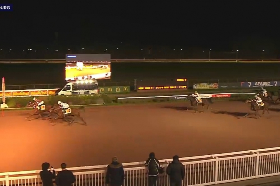 ILLICO DE LOU (Real de Lou-Buenavista de Lou par Goetmals wood)