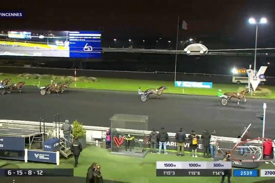 LAUREATE DRY ( Real de Lou-Akyta Dry).LA VIVA DE LOU (Bold eagle-Dorada de lou)..