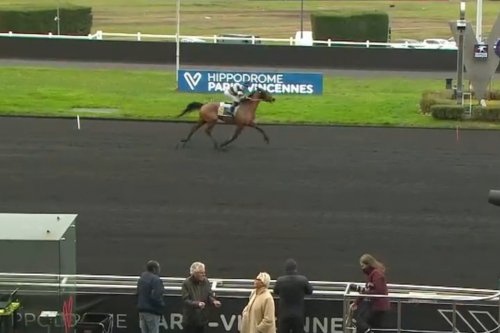 LUCIOLA DE LOU (Real de Lou-Vikivera de Lou par Love...