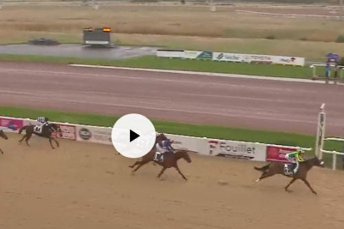 LOU MARINA ( Kapgarde- Lou emerald) ...