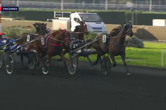 LAUREATE DRY ( Real de Lou-Akyta Dry par Nice lou)...