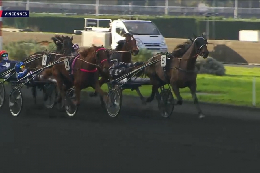 LAUREATE DRY ( Real de Lou-Akyta Dry par Nice lou)...