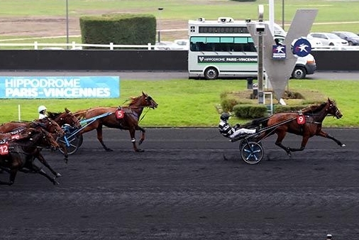 KYRIA DE LOU (Real de Lou-Saba du vivier par Ganymède)...