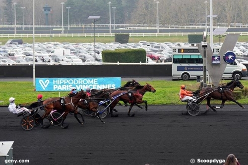 MAGICO DE LOU (Un mec d'héripré-Flora de Lou)...