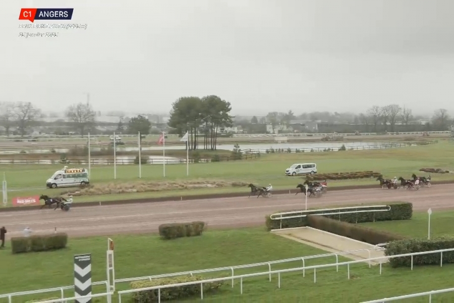 MELOMANE DE LOU (Fabulous wood - Diva de Lou)