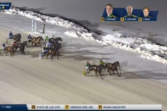 KYOTO DE LOU (Ouragan de Celland-Esmeralda de Lou par Real de Lou)