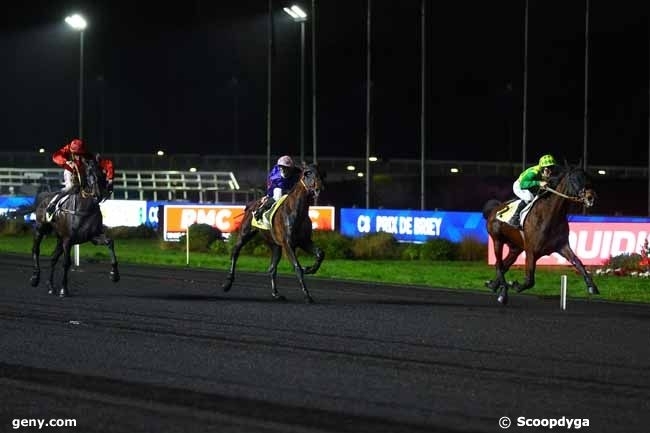 LEONARDO DE LOU (Express jet - Forest devil par Real de Lou)...