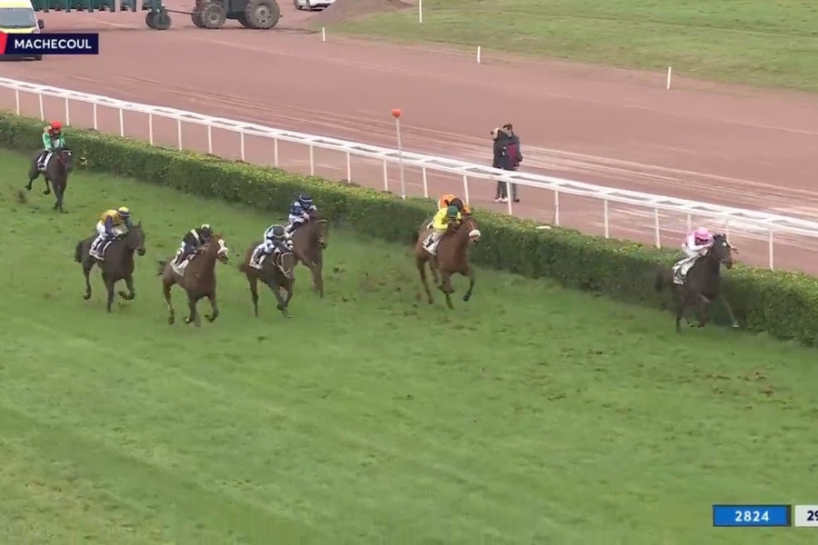 LOU MARINA (Kapgarde- Lou Emerald)...