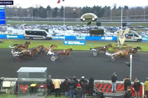 JAMAICA DE LOU (Real de lou-Unora de Lou par Goetmals...