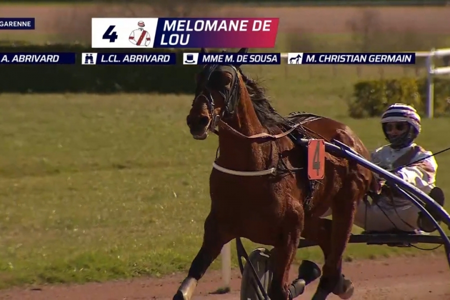 MELOMANE DE LOU (Fabulous wood-Diva de Lou)
