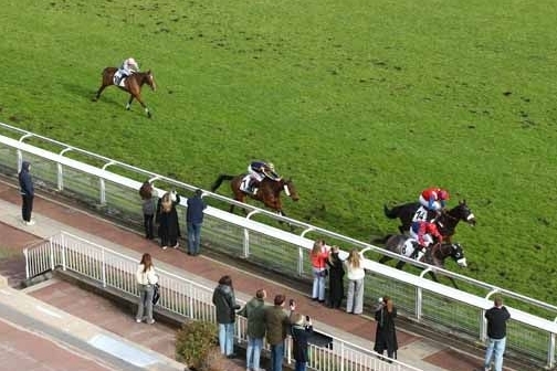 LOU FAST (Rajsaman- Lou wonderful)...