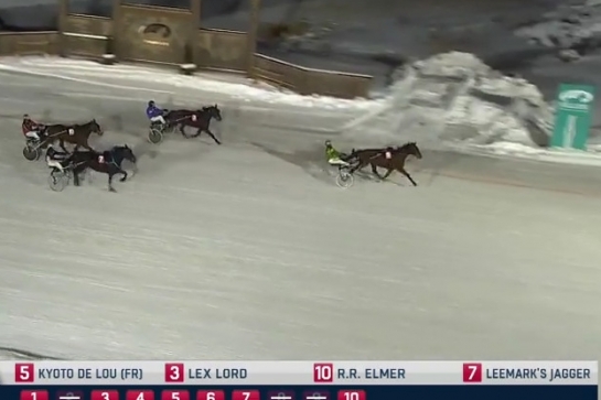 KYOTO DE LOU (Ouragan de celland-Esmeralda de Lou par Real de Lou=...