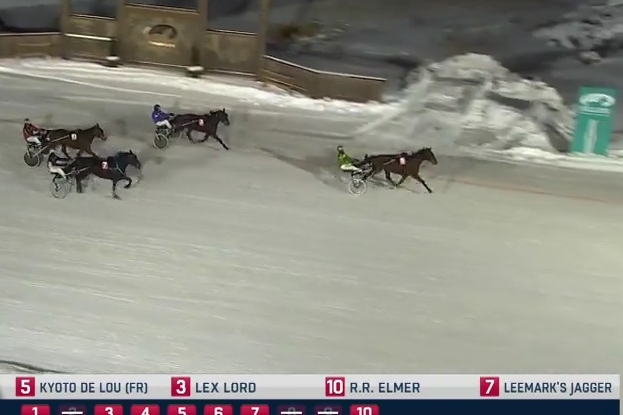 KYOTO DE LOU (Ouragan de celland-Esmeralda de Lou par Real de Lou=...