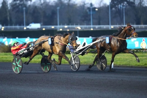 KALMIO DE LOU ( Express jet-Dalmia de Lou par Real de Lou)