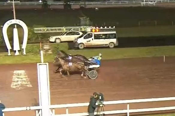 LISANDRO DE LOU (Express jet-Star de Tembia)...
