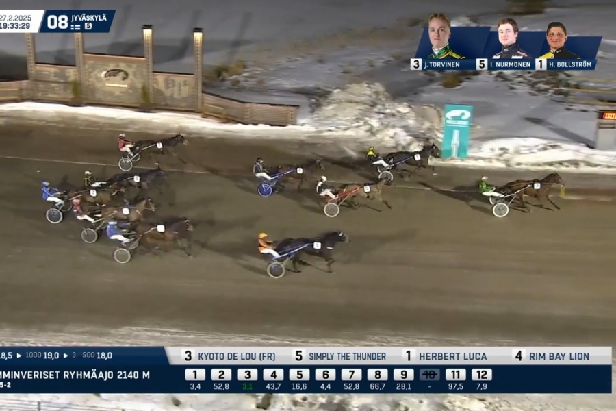 .KYOTO DE LOU (Ouragan de Celland-Esmeralda de lou par Real de Lou)..