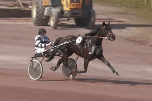 LA SAMBA DE LOU (Uriel speed-Bahia de Lou par Love you)...