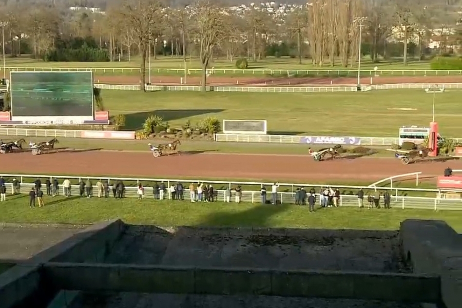 LOMBARDO DE LOU (Fabulous wood-Tanga de Lou par Kiwi)...