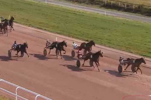 JOKO DE LOU (Real de Lou- Carla de Lou par Quaro)...