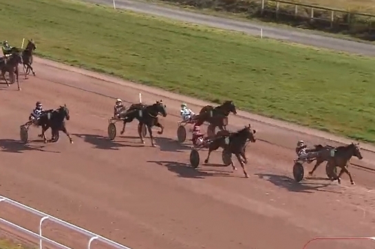 JOKO DE LOU (Real de Lou- Carla de Lou par Quaro)...