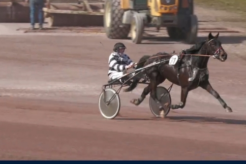 LA SAMBA DE LOU (Uriel Speed-Bahia de Lou par Love you)