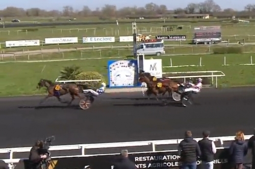 JAMAICA DE LOU (Real de lou-Unora de Lou par Goetmals...