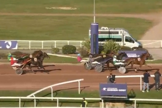 LEONARDO DE LOU (Express jet - Forest devil par Real de Lou)...