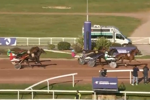 LEONARDO DE LOU (Express jet - Forest devil par Real de Lou)...