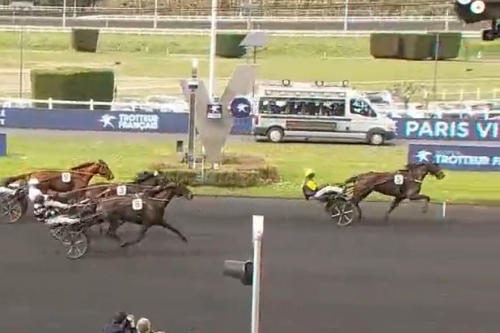 LAUREATE DRY (Real de Lou-Akyta dry par Nice Love) ..