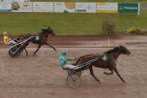 ..LA PERLA DE LOU (Goetmals wood-Donatella de Lou par...