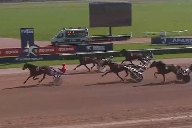 JAMAICA DE LOU (Real de lou-Unora de Lou par Goetmals wood)