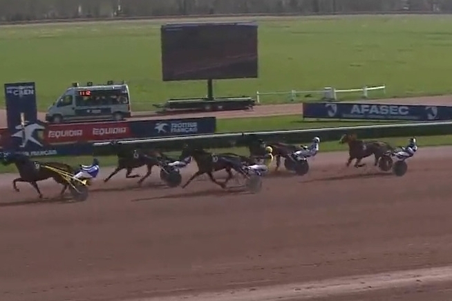 LOMBARDO DE LOU (Fabulous wood-Tanga de Lou par Kiwi)...