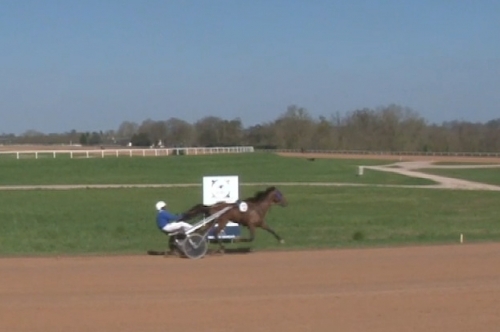 MAGNIFICO DE LOU (Love you-Donatella de Lou par Jag de...