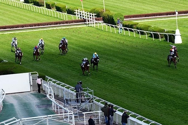 LOU FAST (Rajsaman-Lou wonderful)...