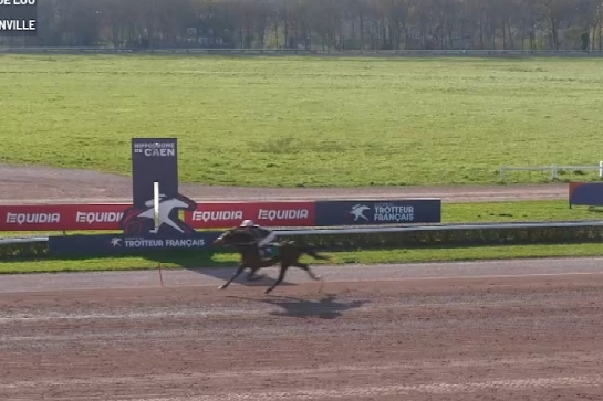 MAMMA MIA DE LOU (Express jet-Dalmia de Lou par Real de Lou) ...