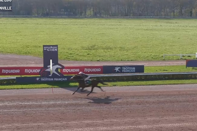 MAMMA MIA DE LOU (Express jet-Dalmia de Lou par Real de Lou) ...