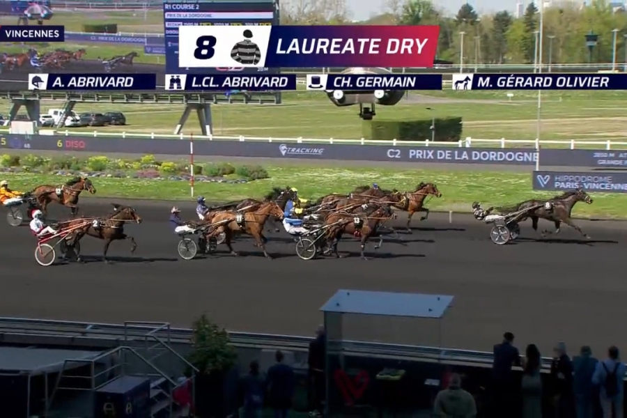 LAUREATE DRY ( Real de Lou-Akyta Dry par Nice love)...