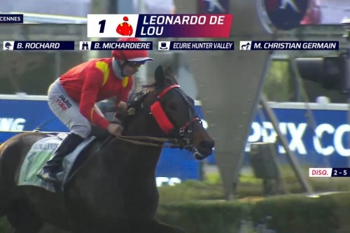 .LEONARDO DE LOU (Express jet-Forest devil par Real de Lou)