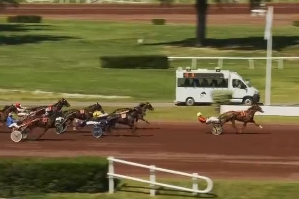 LA PERLA DE LOU (Goetmals wood-Donnatella de Lou)...