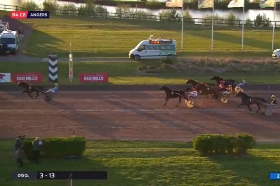 MAXIMILIANO DE LOU (Ecu pierji-Daytona Sacha par Real de Lou)..