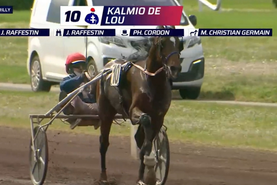 KALMIO DE LOU ( Express jet-Dalmia de Lou par Real de Lou)