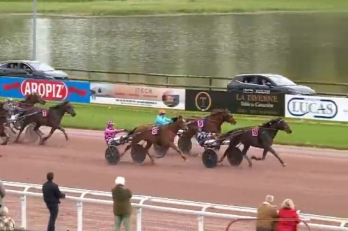 JAMAICA DE LOU (Real de lou-Unora de Lou par Goetmals...