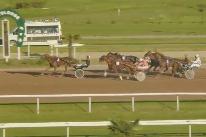 MAVISTA DE LOU (Un amour d'haufor-Buenavista de Lou par Goetmals wood)...