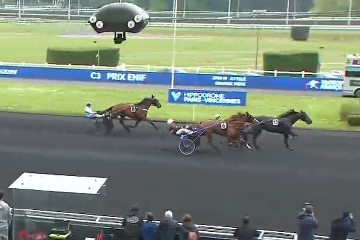 LOMBARDO DE LOU (Fabulous wood-Tanga de Lou par Kiwi)...