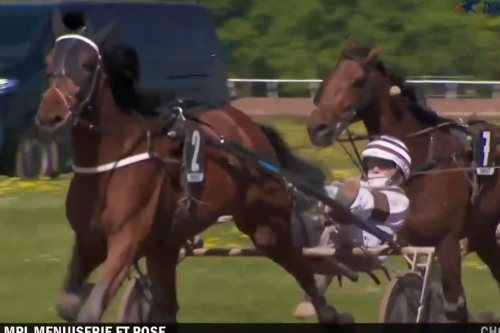 MELOMANE DE LOU (Fabulous wood-Diva de Lou par Love You)...