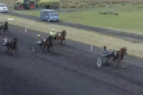 MANDARINA DE LOU (Love you-Saba du vivier par Ganymède)