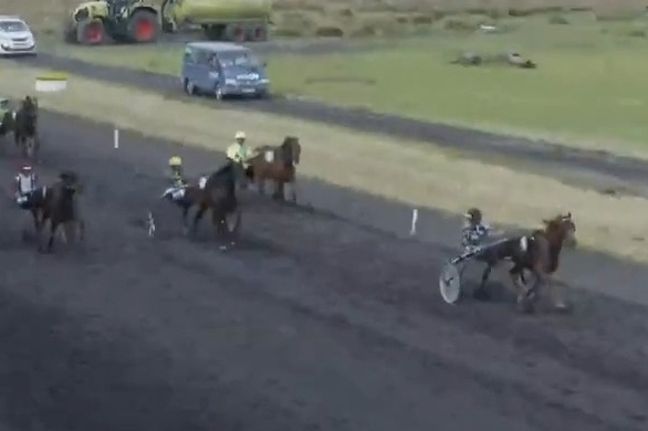 MANDARINA DE LOU (Love you-Saba du vivier par Ganymède)