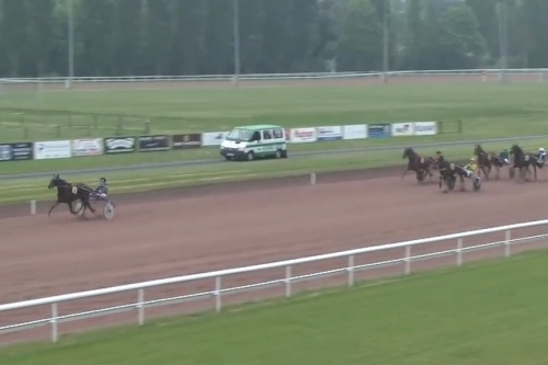 MIRELLA DE LOU (Eridan- Unora de Lou par Goetmals wood)...