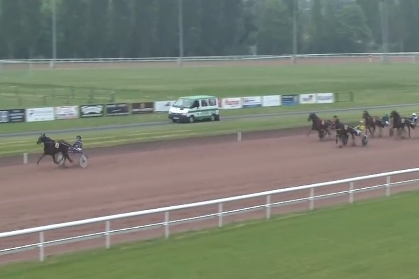 MIRELLA DE LOU (Eridan- Unora de Lou par Goetmals wood)...