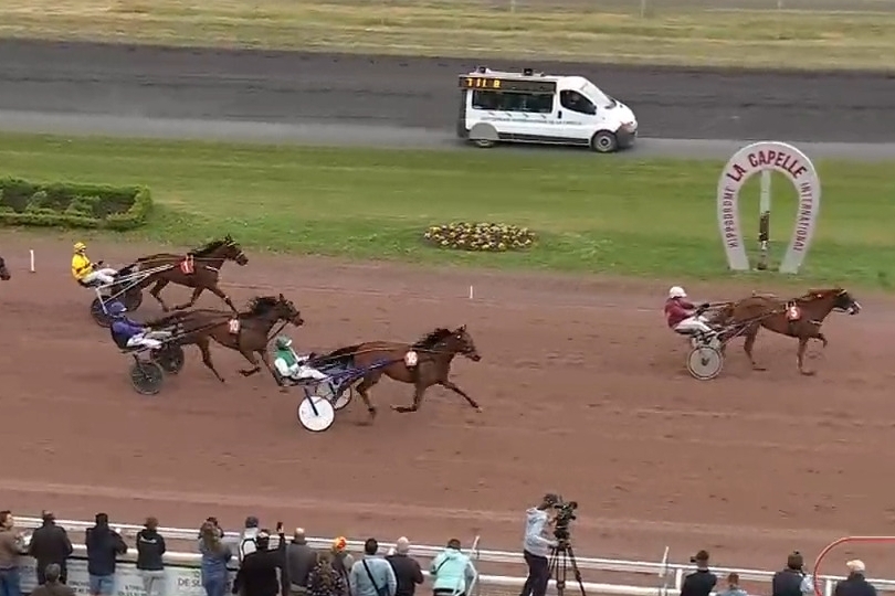 ..LA PERLA DE LOU (Goetmals wood-Donatella de Lou par Jag de bellouet).